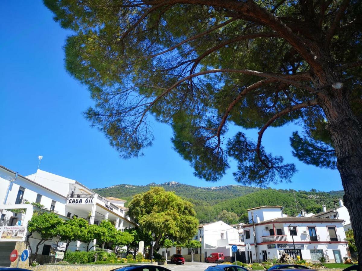 Pension Venta Julian Hca01134 El Bosque Dış mekan fotoğraf